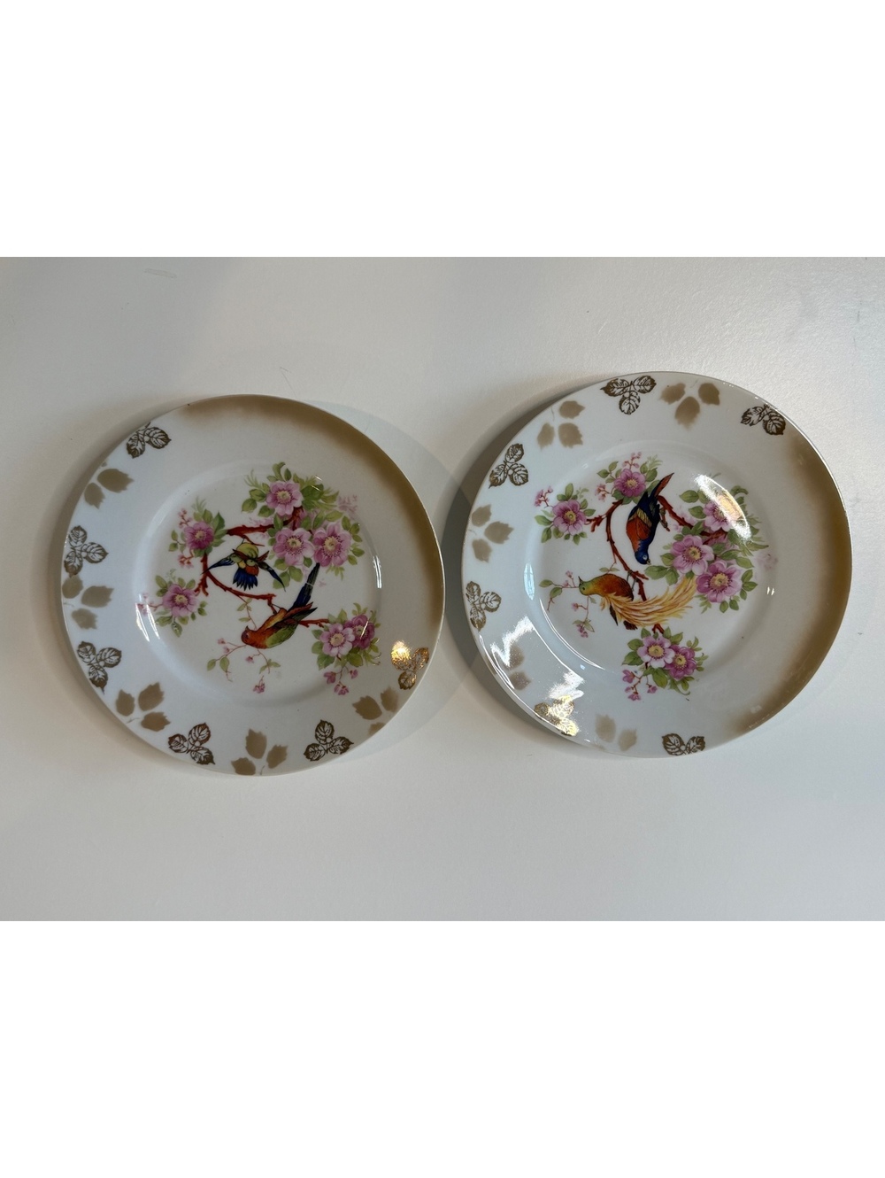 Antique 1920s Bavaria Germany "Debra" Porcelain Bird Plates - Pair